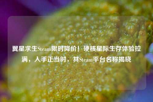 翼星求生Steam限时降价!硬核星际生存体验拉满,入手正当时,其Steam平台名称揭晓