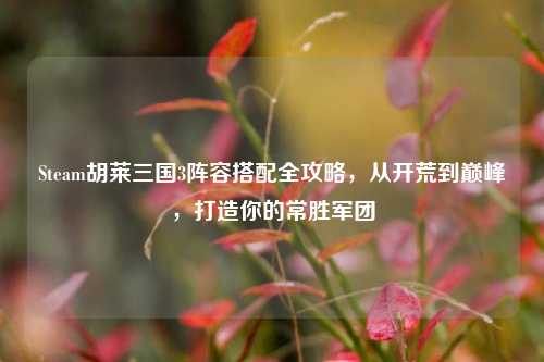 Steam胡莱三国3阵容搭配全攻略,从开荒到巅峰,打造你的常胜军团