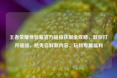 王者荣耀体验服官方链接获取全攻略,教你打开链接,抢先尝鲜新内容、玩转专属福利