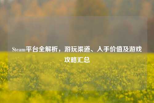 Steam平台全解析，游玩渠道、入手价值及游戏攻略汇总