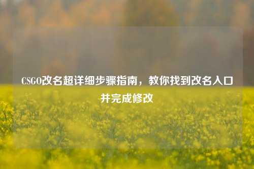 CSGO改名超详细步骤指南,教你找到改名入口并完成修改