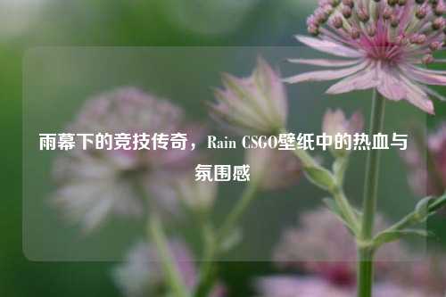 雨幕下的竞技传奇，Rain CSGO壁纸中的热血与氛围感