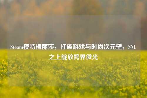 Steam模特梅丽莎，打破游戏与时尚次元壁，SNL之上绽放跨界微光