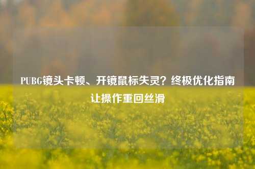 PUBG镜头卡顿、开镜鼠标失灵?终极优化指南让操作重回丝滑
