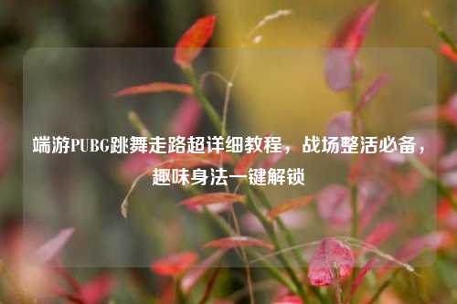 端游PUBG跳舞走路超详细教程,战场整活必备,趣味身法一键解锁