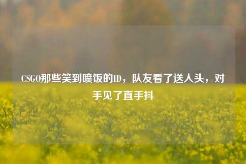 CSGO那些笑到喷饭的ID,队友看了送人头,对手见了直手抖
