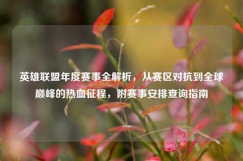 英雄联盟年度赛事全解析，从赛区对抗到全球巅峰的热血征程，附赛事安排查询指南