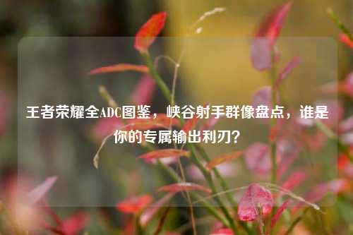 王者荣耀全ADC图鉴，峡谷射手群像盘点，谁是你的专属输出利刃？