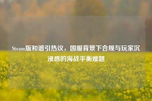 Steam版和谐引热议，国服背景下合规与玩家沉浸感的海战平衡难题