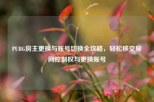 PUBG房主更换与账号切换全攻略，轻松移交房间控制权与更换账号