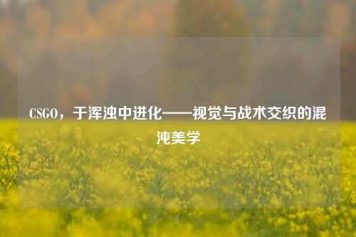 CSGO,于浑浊中进化——视觉与战术交织的混沌美学