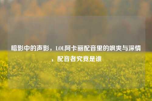 暗影中的声影,LOL阿卡丽配音里的飒爽与深情,配音者究竟是谁