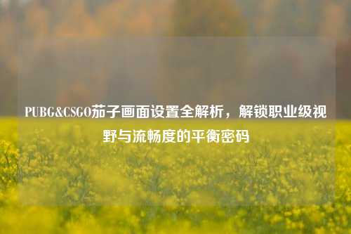 PUBG&CSGO茄子画面设置全解析,解锁职业级视野与流畅度的平衡密码