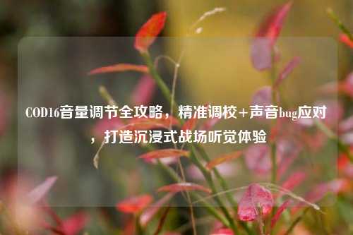 COD16音量调节全攻略,精准调校+声音bug应对,打造沉浸式战场听觉体验