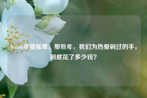 Steam年度账单，那些年，我们为热爱剁过的手，到底花了多少钱？