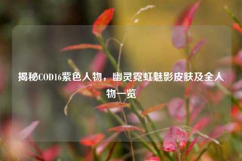 揭秘COD16紫色人物,幽灵霓虹魅影皮肤及全人物一览