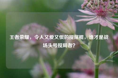 王者荣耀，令人又爱又恨的搅屎棍，谁才是战场头号搅局者？