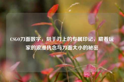 CSGO刀面数字，刻于刃上的专属印记，藏着玩家的浪漫执念与刀面大小的秘密