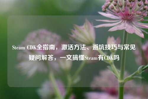 Steam CDK全指南，激活方法、避坑技巧与常见疑问解答，一文搞懂Steam有CDK吗