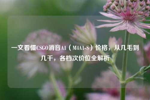 一文看懂CSGO消音A1（M4A1-S）价格，从几毛到几千，各档次价位全解析