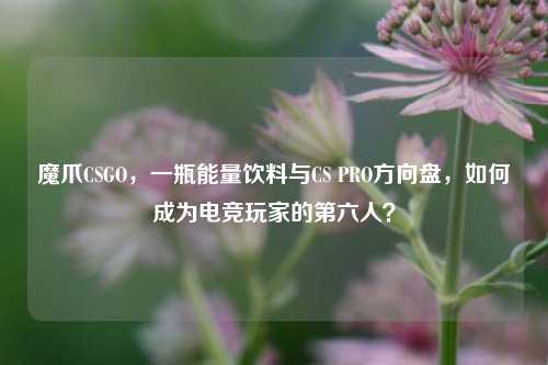 魔爪CSGO,一瓶能量饮料与CS PRO方向盘,如何成为电竞玩家的第六人?