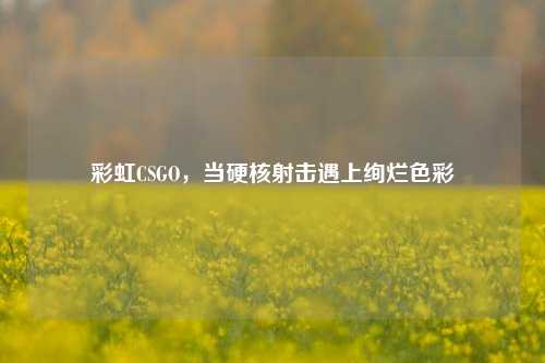 彩虹CSGO,当硬核射击遇上绚烂色彩