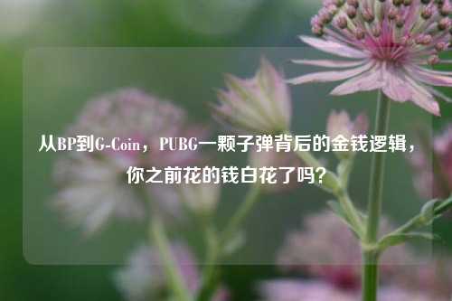 从BP到G-Coin,PUBG一颗子弹背后的金钱逻辑,你之前花的钱白花了吗?