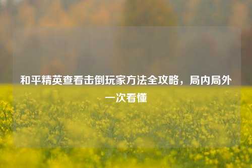 和平精英查看击倒玩家方法全攻略,局内局外一次看懂