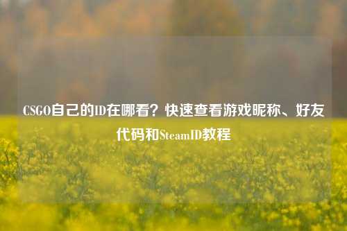 CSGO自己的ID在哪看?快速查看游戏昵称、好友代码和SteamID教程