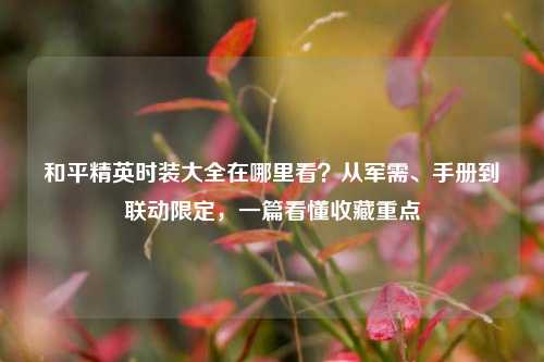 和平精英时装大全在哪里看?从军需、手册到联动限定,一篇看懂收藏重点