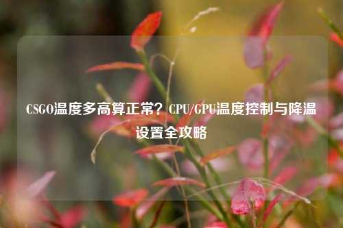 CSGO温度多高算正常?CPU/GPU温度控制与降温设置全攻略