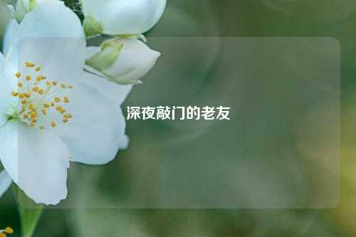 深夜敲门的老友