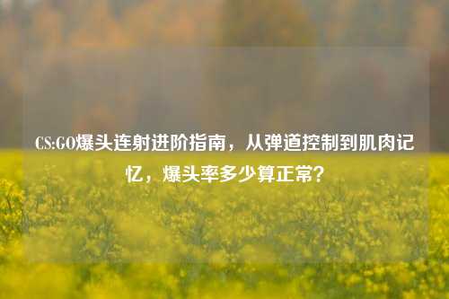 CS:GO爆头连射进阶指南,从弹道控制到肌肉记忆,爆头率多少算正常?