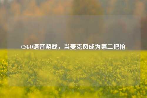CSGO语音游戏,当麦克风成为第二把枪