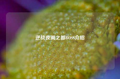 逆战夜阑之都BOSS介绍