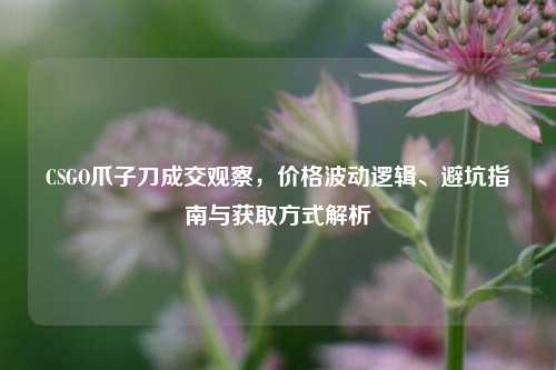 CSGO爪子刀成交观察,价格波动逻辑、避坑指南与获取方式解析