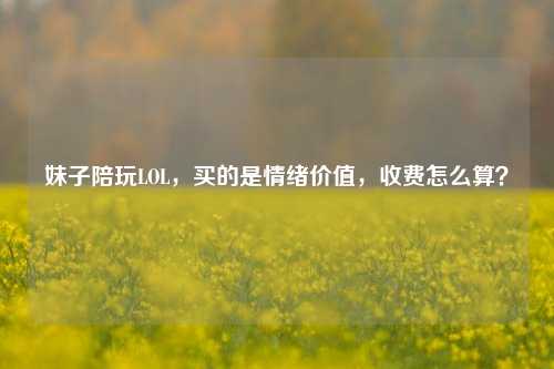 妹子陪玩LOL,买的是情绪价值,收费怎么算?