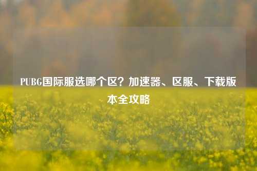 PUBG国际服选哪个区?加速器、区服、下载版本全攻略