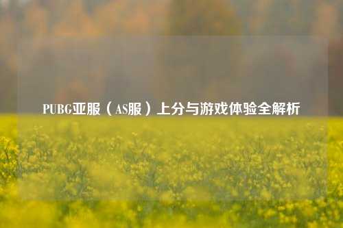 PUBG亚服（AS服）上分与游戏体验全解析