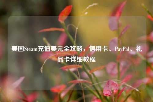 美国Steam充值美元全攻略,信用卡、PayPal、礼品卡详细教程