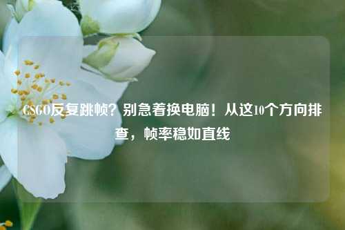 CSGO反复跳帧?别急着换电脑!从这10个方向排查,帧率稳如直线