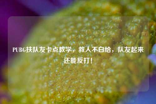 PUBG扶队友卡点教学，救人不白给，队友起来还能反打！