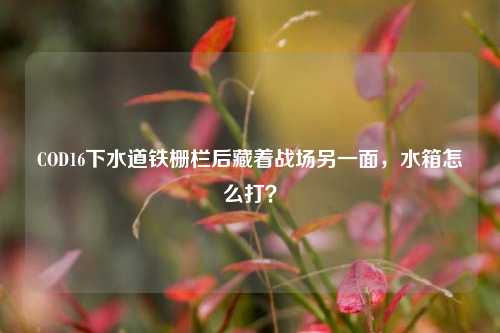 COD16下水道铁栅栏后藏着战场另一面,水箱怎么打?