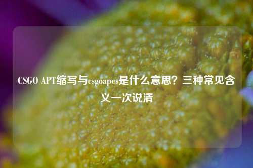 CSGO APT缩写与csgoapes是什么意思?三种常见含义一次说清