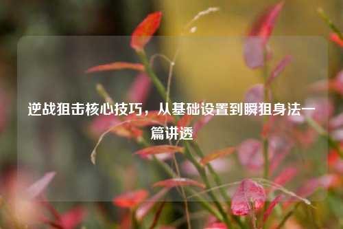 逆战狙击核心技巧，从基础设置到瞬狙身法一篇讲透
