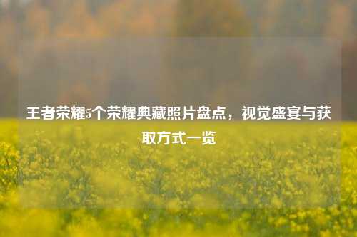 王者荣耀5个荣耀典藏照片盘点,视觉盛宴与获取方式一览