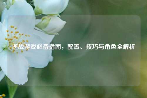 逆战游戏必备指南，配置、技巧与角色全解析