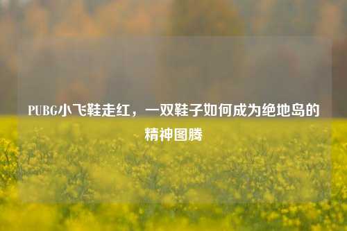 PUBG小飞鞋走红,一双鞋子如何成为绝地岛的精神图腾