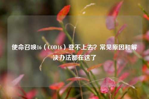 使命召唤16（COD16）登不上去？常见原因和解决办法都在这了