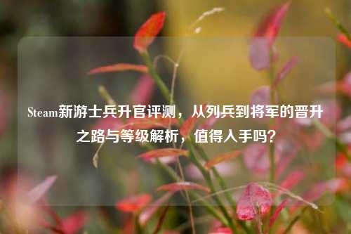 Steam新游士兵升官评测,从列兵到将军的晋升之路与等级解析,值得入手吗?